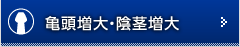 亀頭増大・亀頭強化