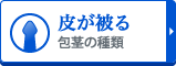 【皮が被る】包茎の種類