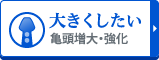 【大きくしたい】亀頭増大・強化