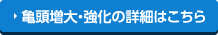 亀頭増大・強化の詳細はこちら