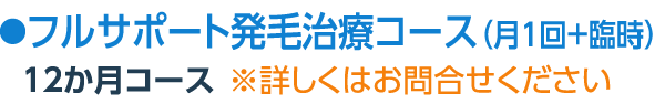 フルサポート発毛治療コース（月1回+臨時）