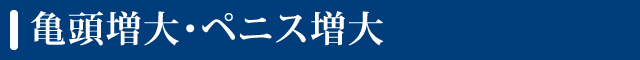 亀頭増大・亀頭強化