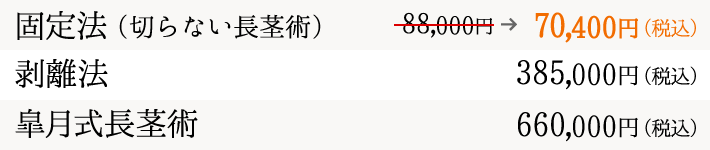 長茎術の料金