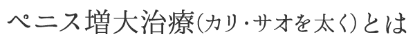 ペニス増大治療(カリ・サオを太く)とは