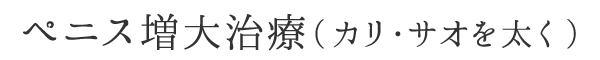 ペニス増大治療（カリ・サオを太く）
